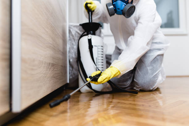 Best Emergency Pest Control  in Big Lake, TX
