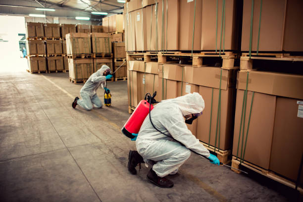 Best Best Pest Control Companies  in Big Lake, TX