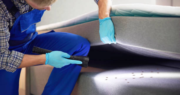 Flea Control Services in Big Lake, TX