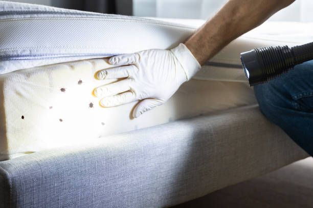 Best Wildlife Control Services  in Big Lake, TX