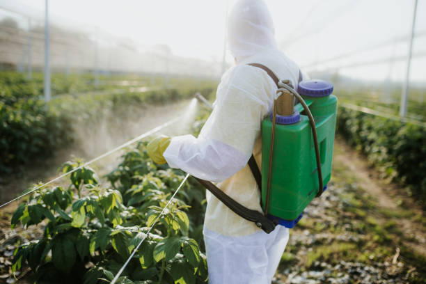 Best Affordable Pest Control Services  in Big Lake, TX